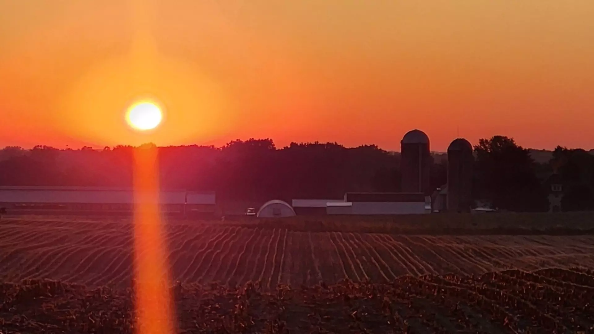 Sunset cropped